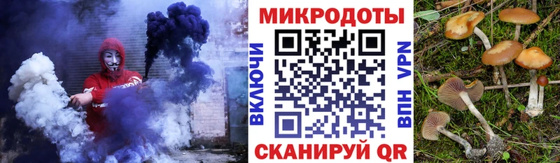 Псилоцибиновые грибы Psilocybe  Лагань 